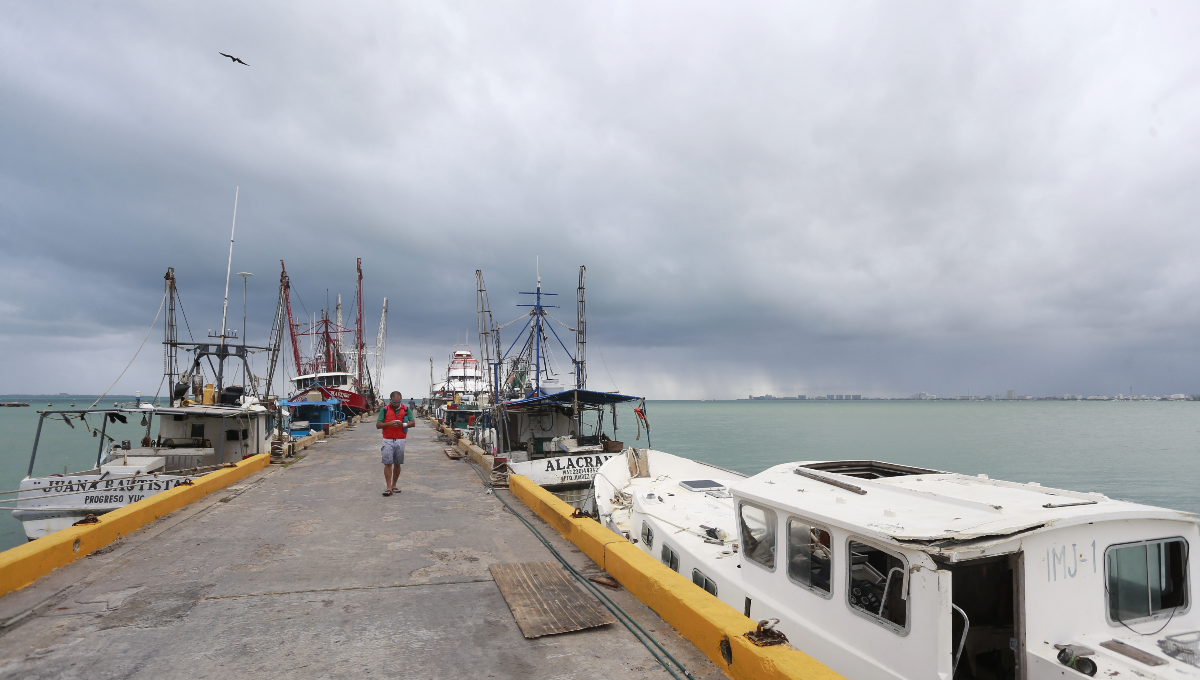Frente Frío 'golpea' ingresos de los pescadores de Puerto Juárez en Cancún