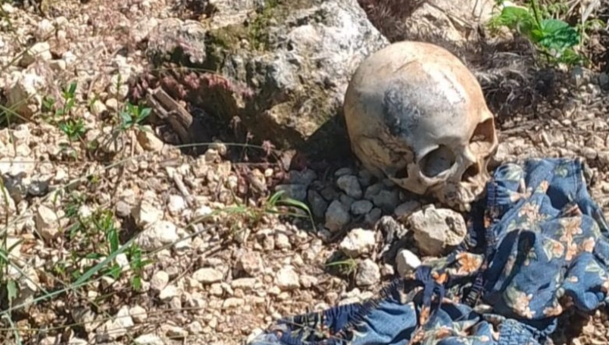 Hallan cráneo humano en la colonia Tres Reyes en Cancún