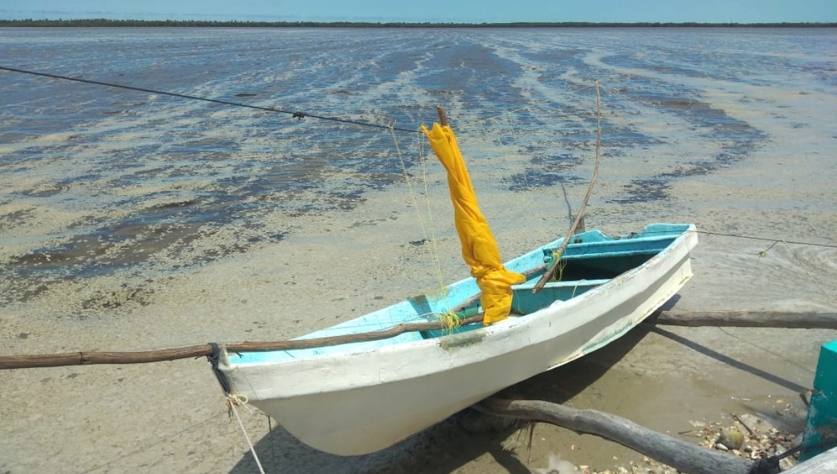 Gobierno de Campeche ignora petición de pescadores de Sabancuy para el degrado del Estero
