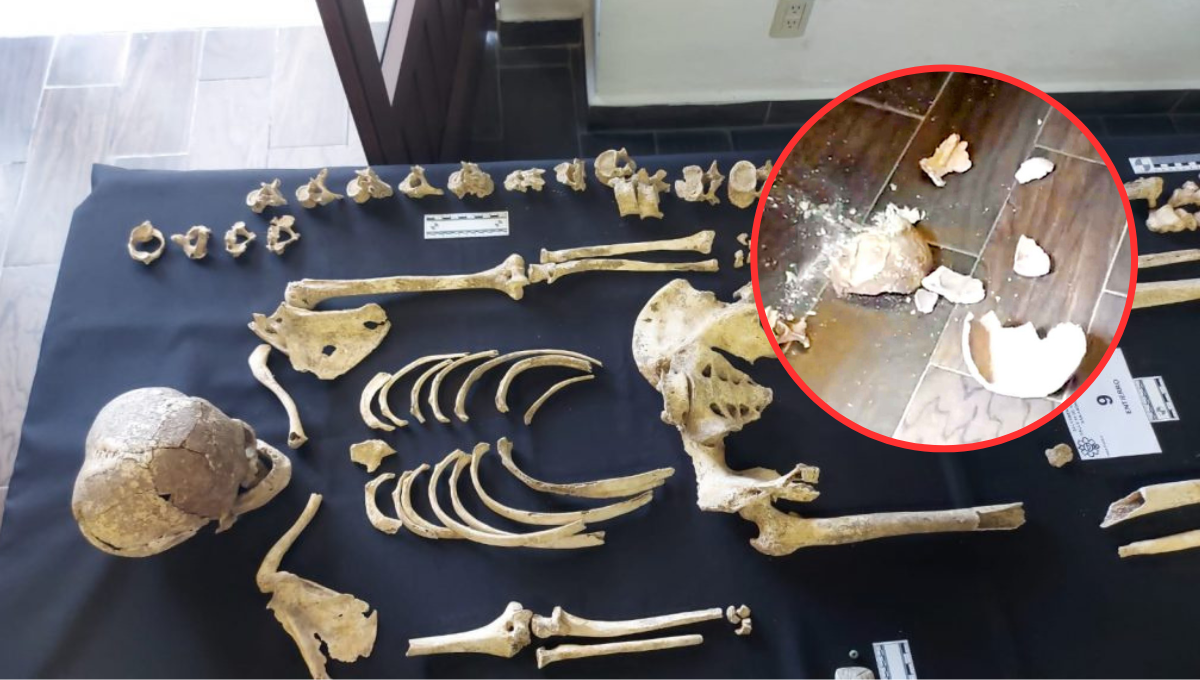 Rompen cráneo de 700 años de antigüedad en una rueda de prensa en Puebla