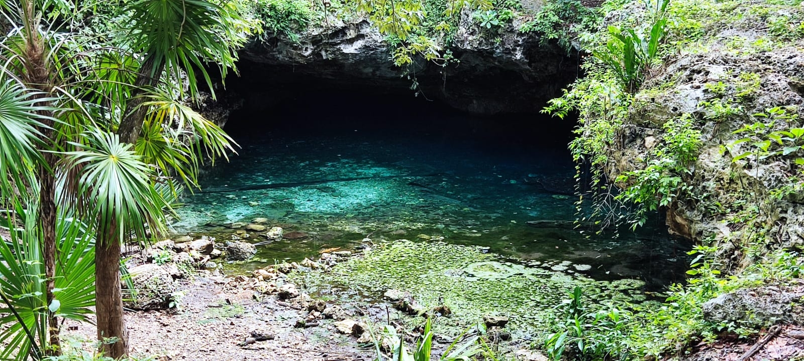 Playa del Carmen: Cenote de Puerto Maya, amenazado por la contaminación y delincuencia
