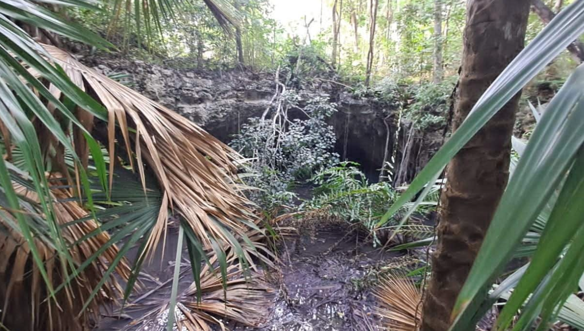 Clausuran obra en Playa del Carmen por presunto relleno de un cenote