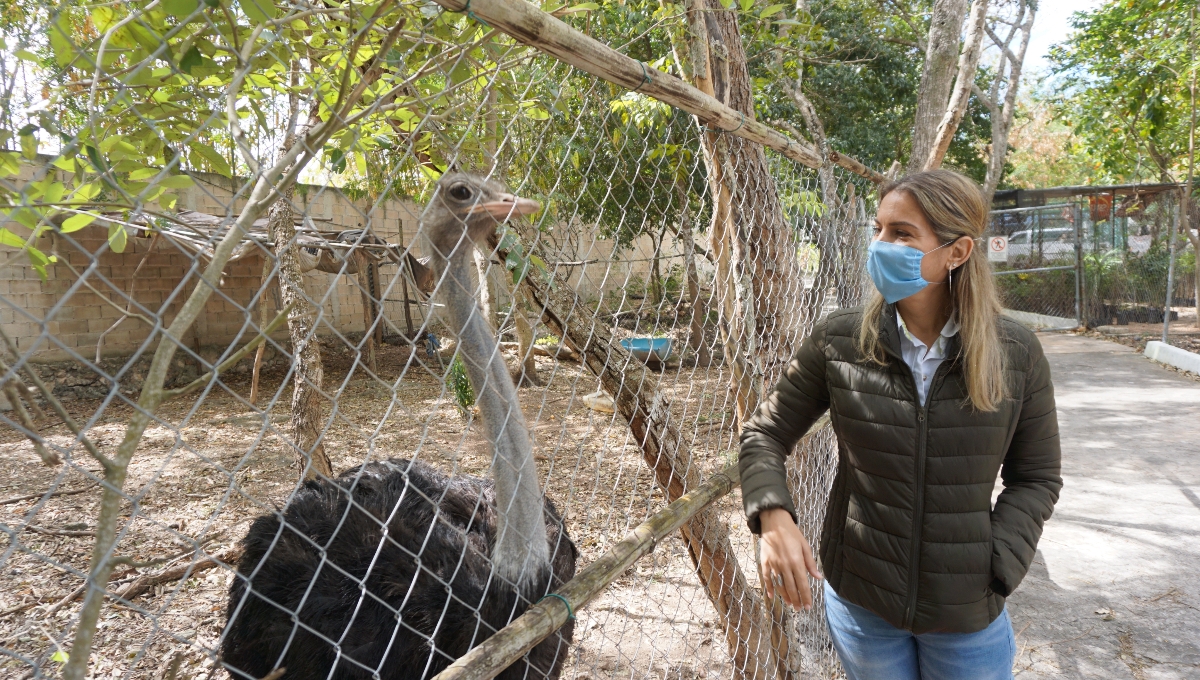 Fiscalía detecta maltrato animal en el Centro Ecológico de Campeche