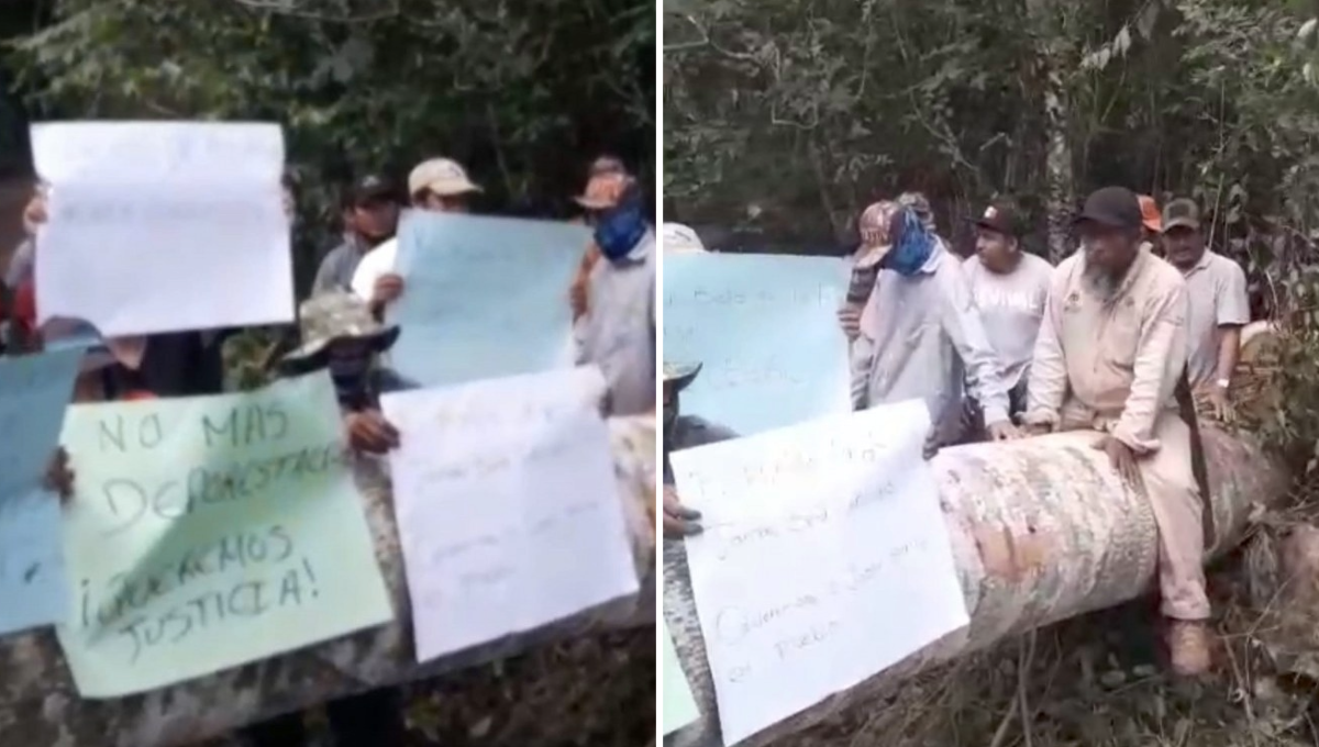 Habitantes se manifiestan contra tala ilegal de madera en José María Morelos