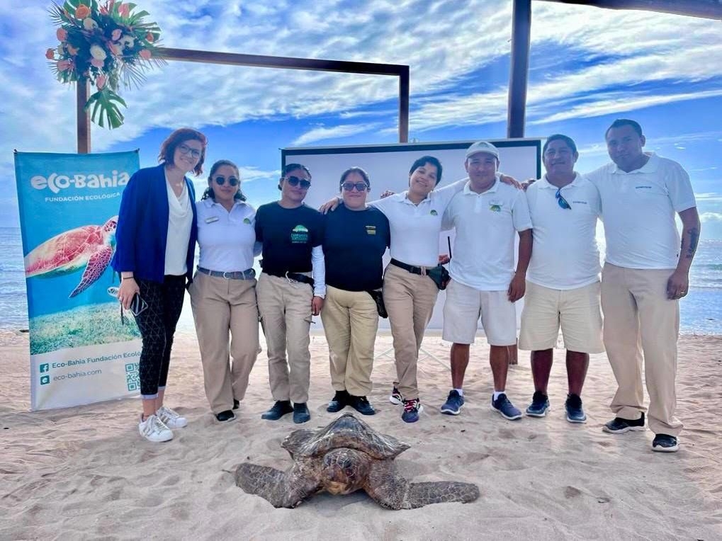 Eco-Bahía reportó más de mil nidos de tortugas marinas en Playa del Carmen