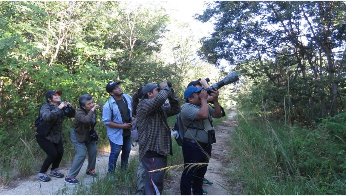 'Birdwatching' beneficia a las personas y al medio ambiente en Tizimín