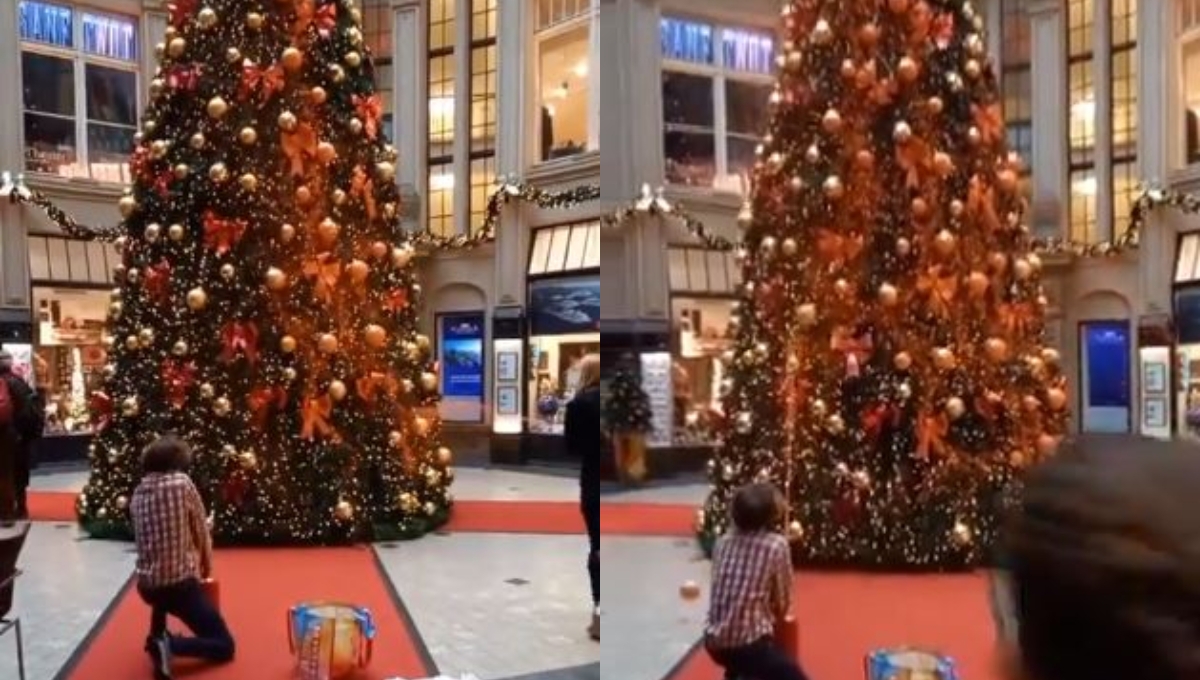 Activistas de Alemania pintan de naranja los árboles de Navidad: VIDEO