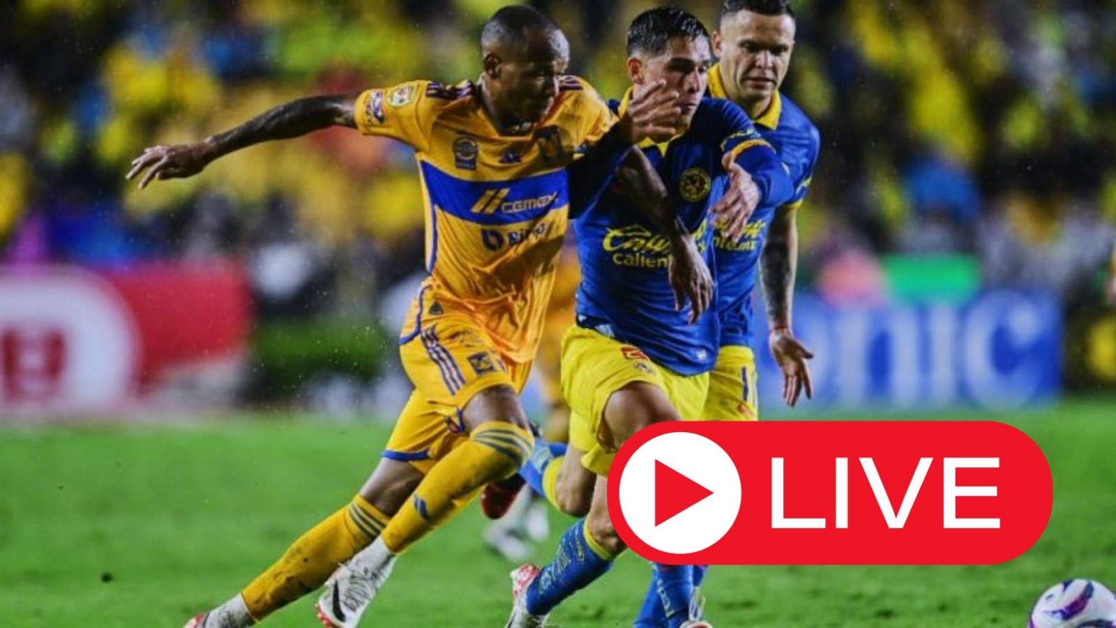 América vs Tigres: Aquí se podrá ver en vivo la Final de Ida de la Liga MX hoy jueves