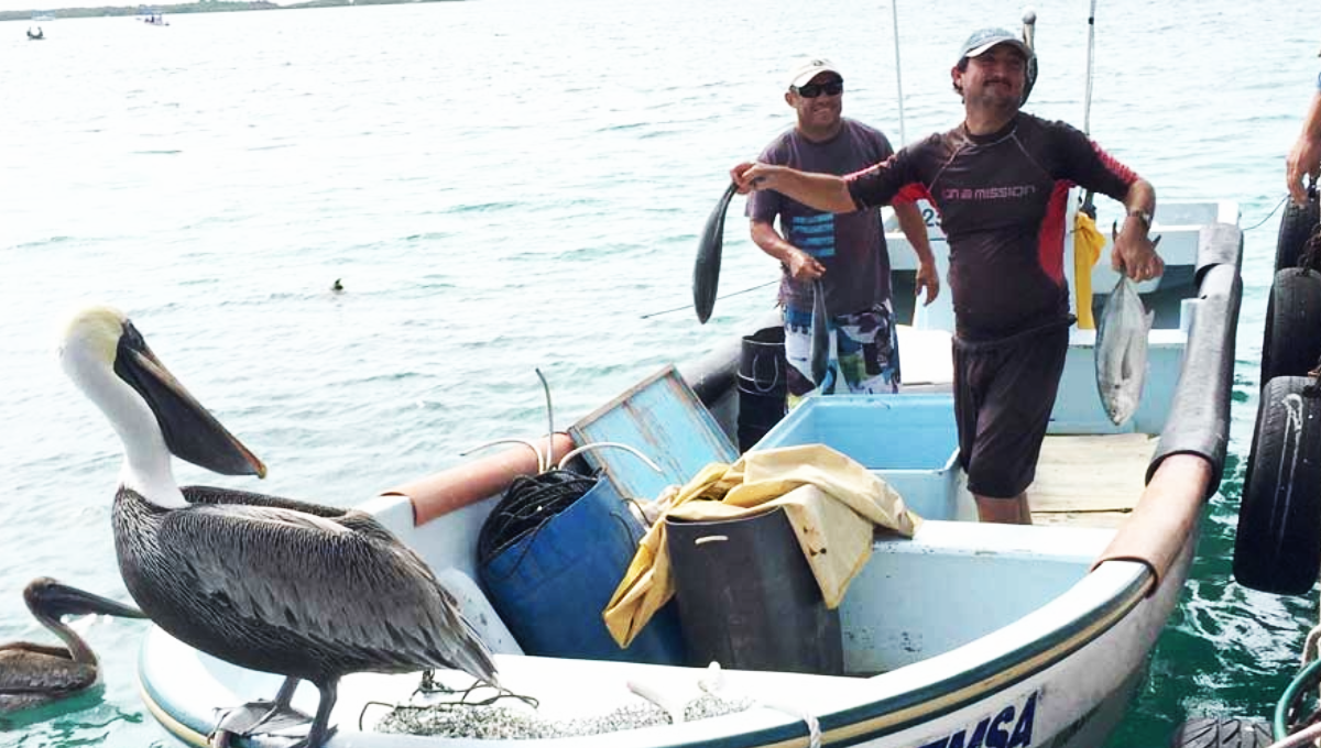 Isla Mujeres se queda sin pescado ante el paso del Frente Frío 17