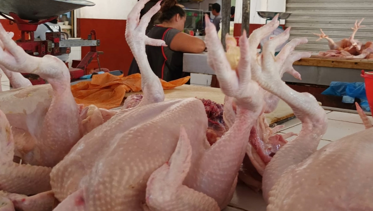 Yucatecos se quedan sin pavo para Navidad; fiebre aviar desploma producción de las aves