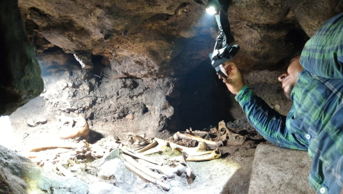 Se informó que en la parte superior de la pared de la cueva se encontró un caracol marino