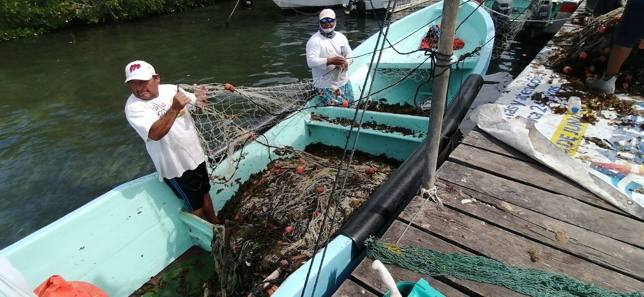 Langosta y tiburón, en 'crisis' por mal clima y bajos precios en Isla Mujeres