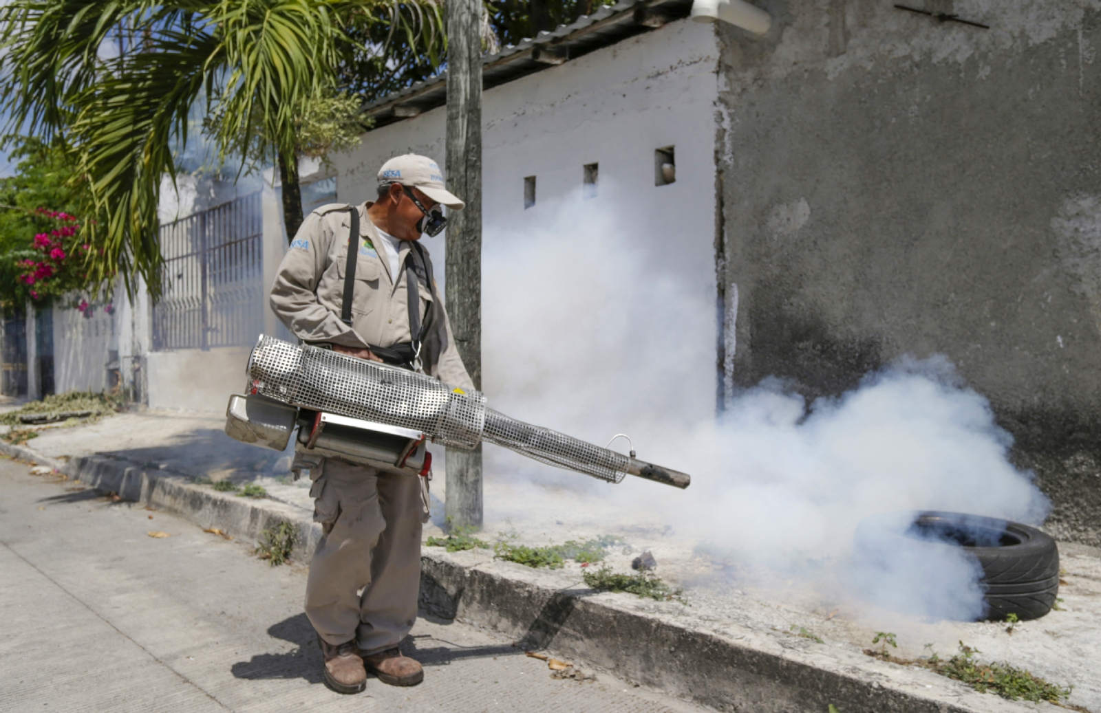 Aumenta el riesgo de dengue en Isla Mujeres: 13 casos más en un mes