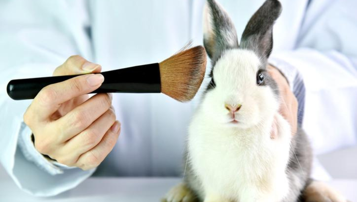 Prohíben en Chile pruebas de cosméticos en animales; es el cuarto país en Latinoamérica