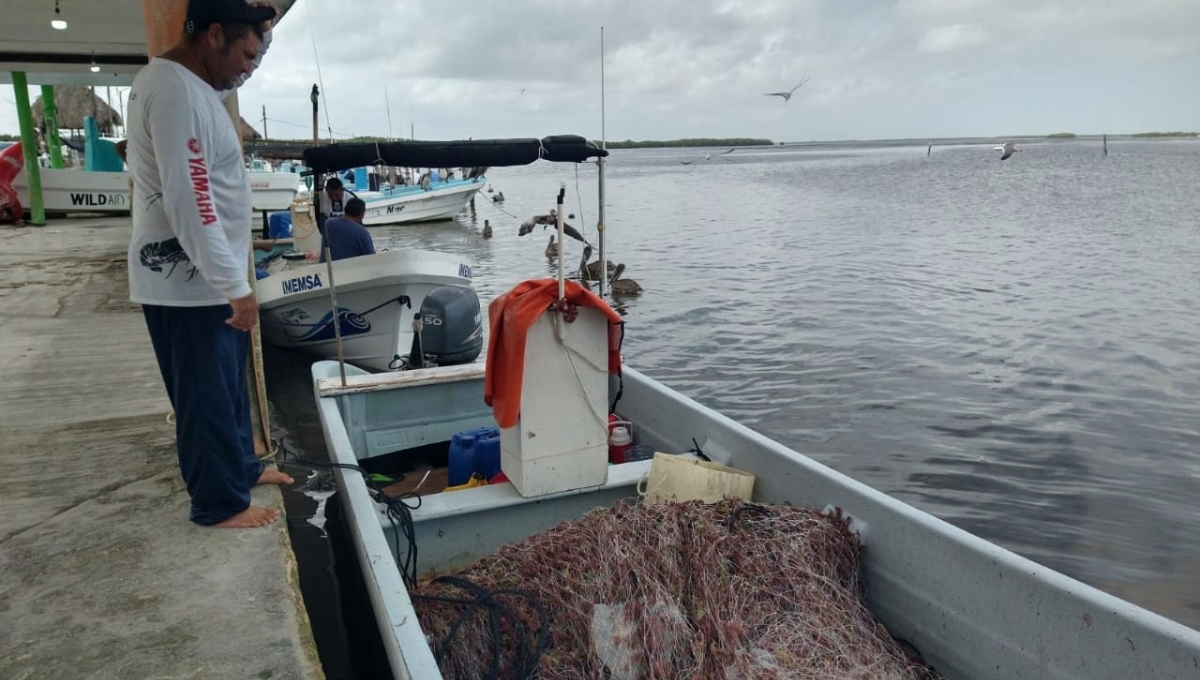 En Yucatán, más de 10 mil pescadores pasan una mala racha por escasez, furtivismo y contaminación