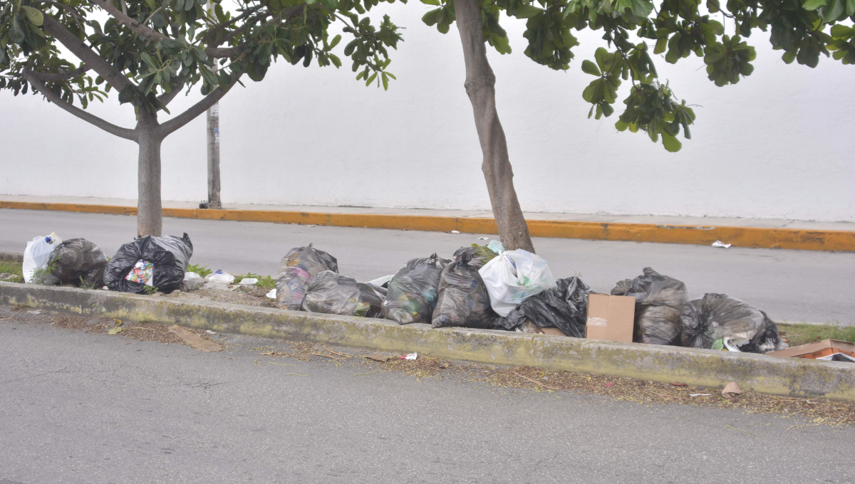 Residentes de Cancún convierten los camellones en basurero
