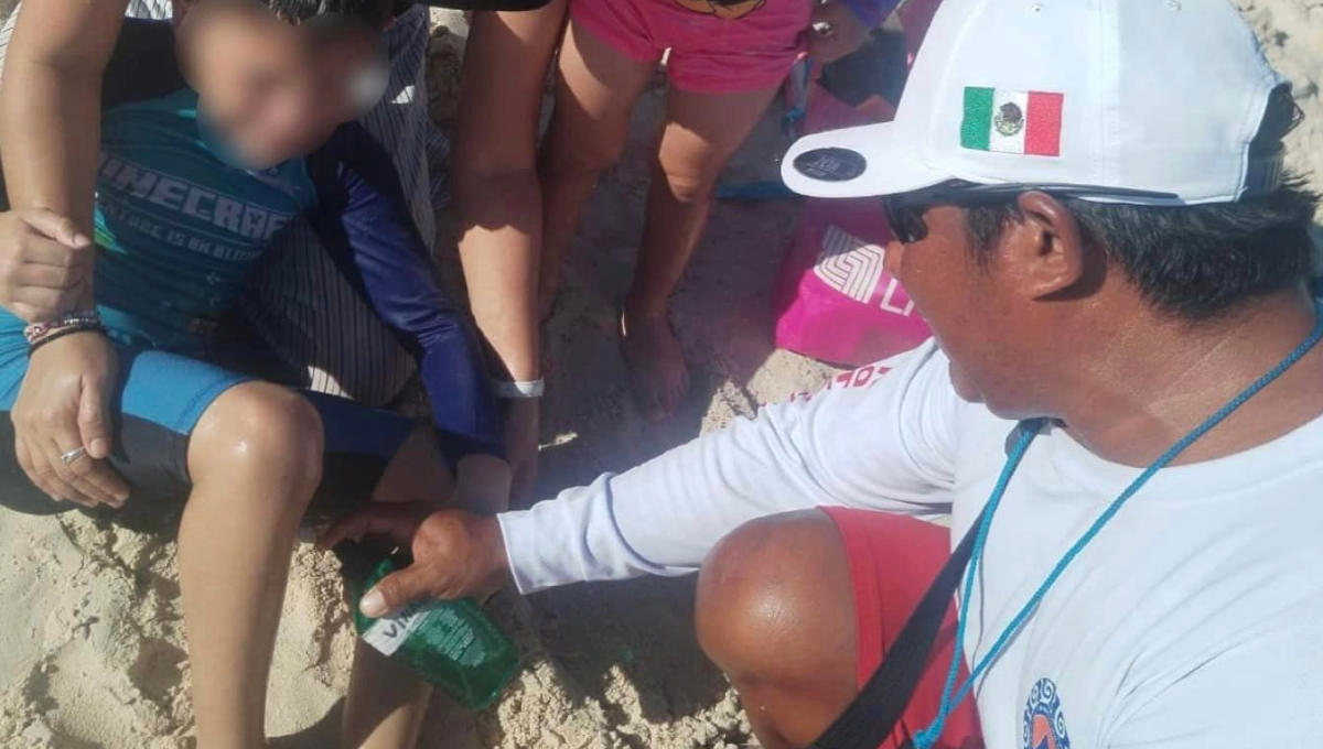 Protección Civil Playa del Carmen advierte sobre picadura de medusas y erizos