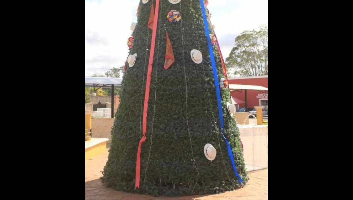 Ladrones se llevan los adornos del árbol de Navidad en Timucuy, Yucatán