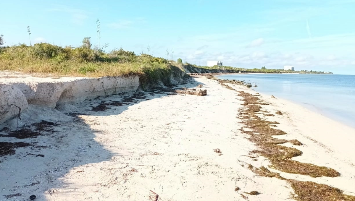 Erosión pone en riesgo la playa en Chabihau, Yucatán