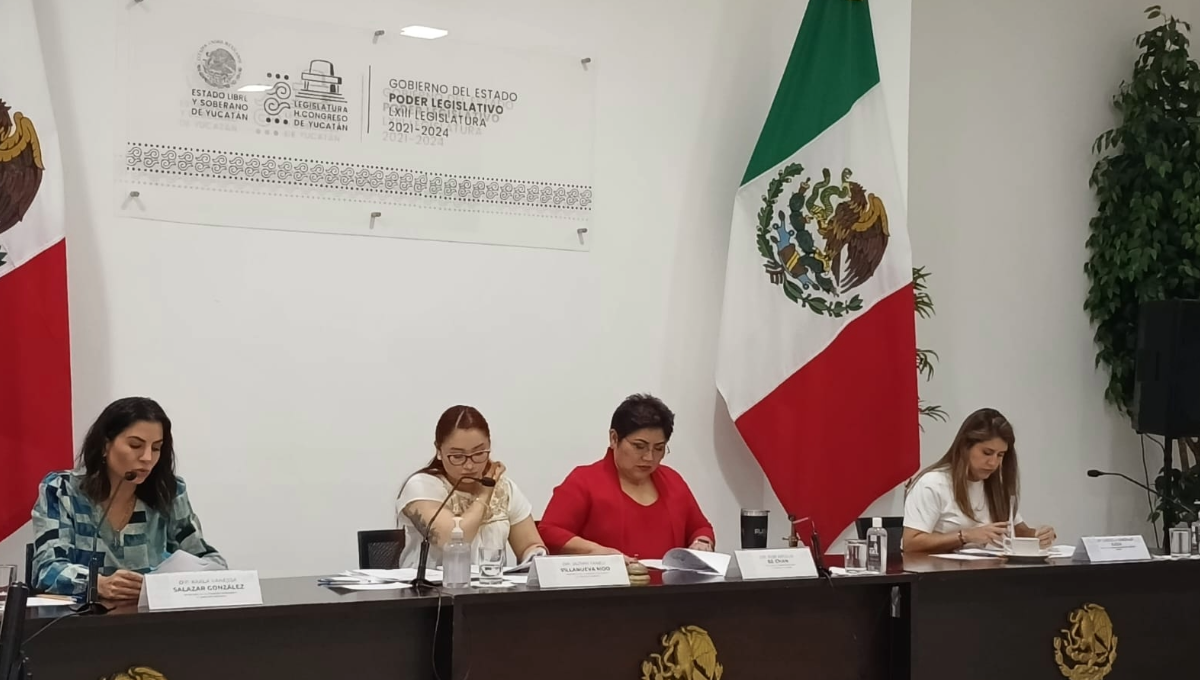 Organizaciones civiles de Yucatán proponen candidatos para titular de la Codhey
