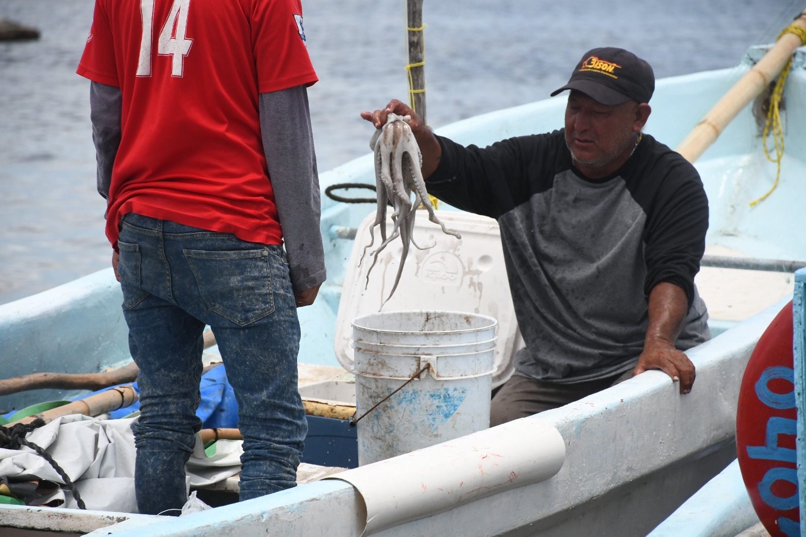 Por mala temporada de pulpo, pescadores de Campeche adelantan veda
