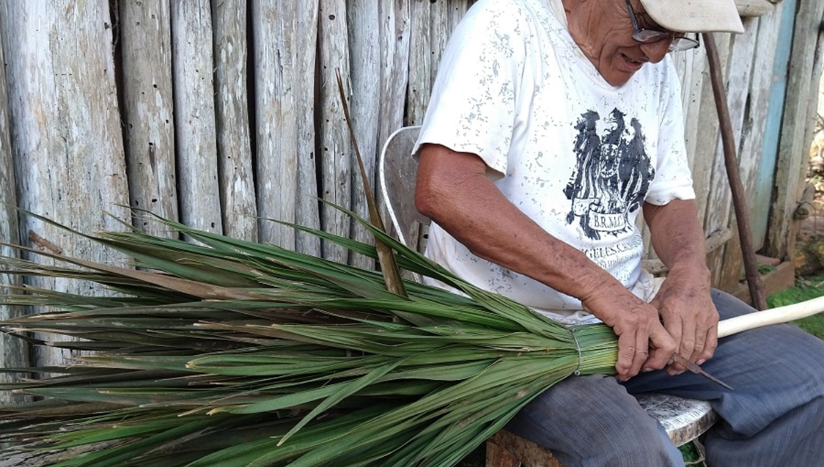 Abuelito de Tizimín realiza escobas artesanales con palmas