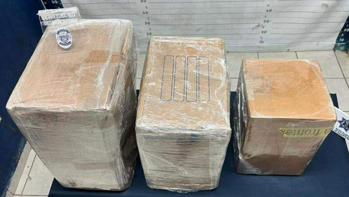 Decomisan 40 kilos de presunta marihuana en una empresa de mensajería en Cancún