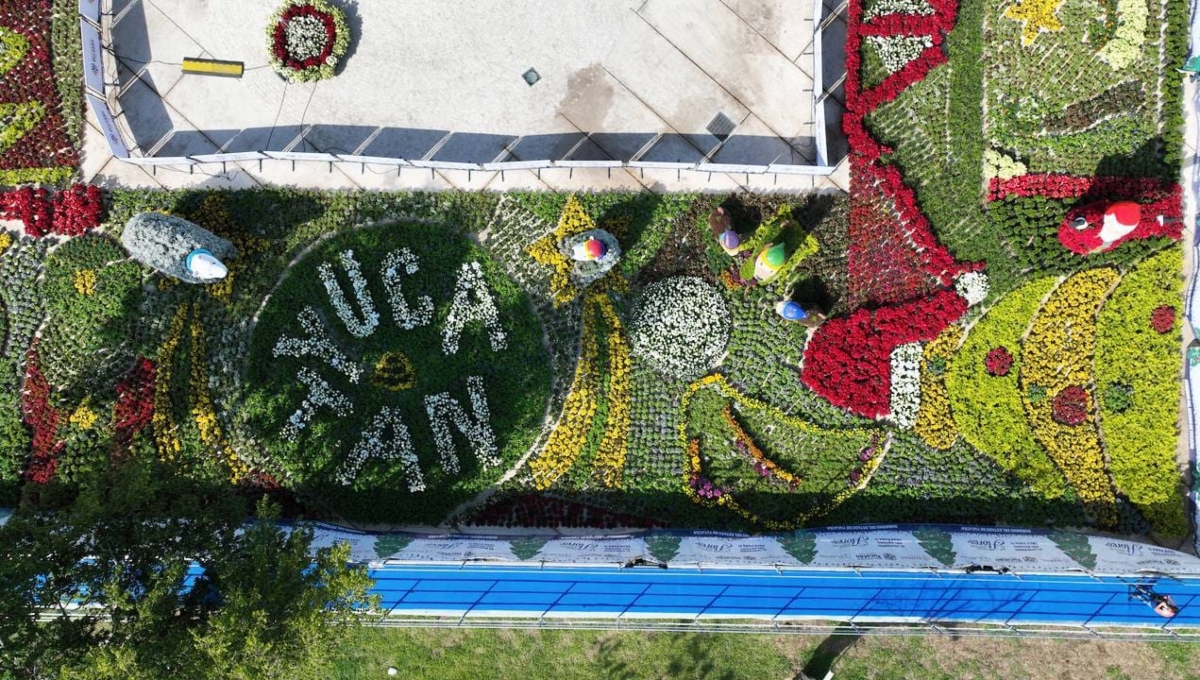 El Paseo Navideño de las Flores de Mérida en el Gran Parque La Plancha se encuentra abierto totalmente gratis