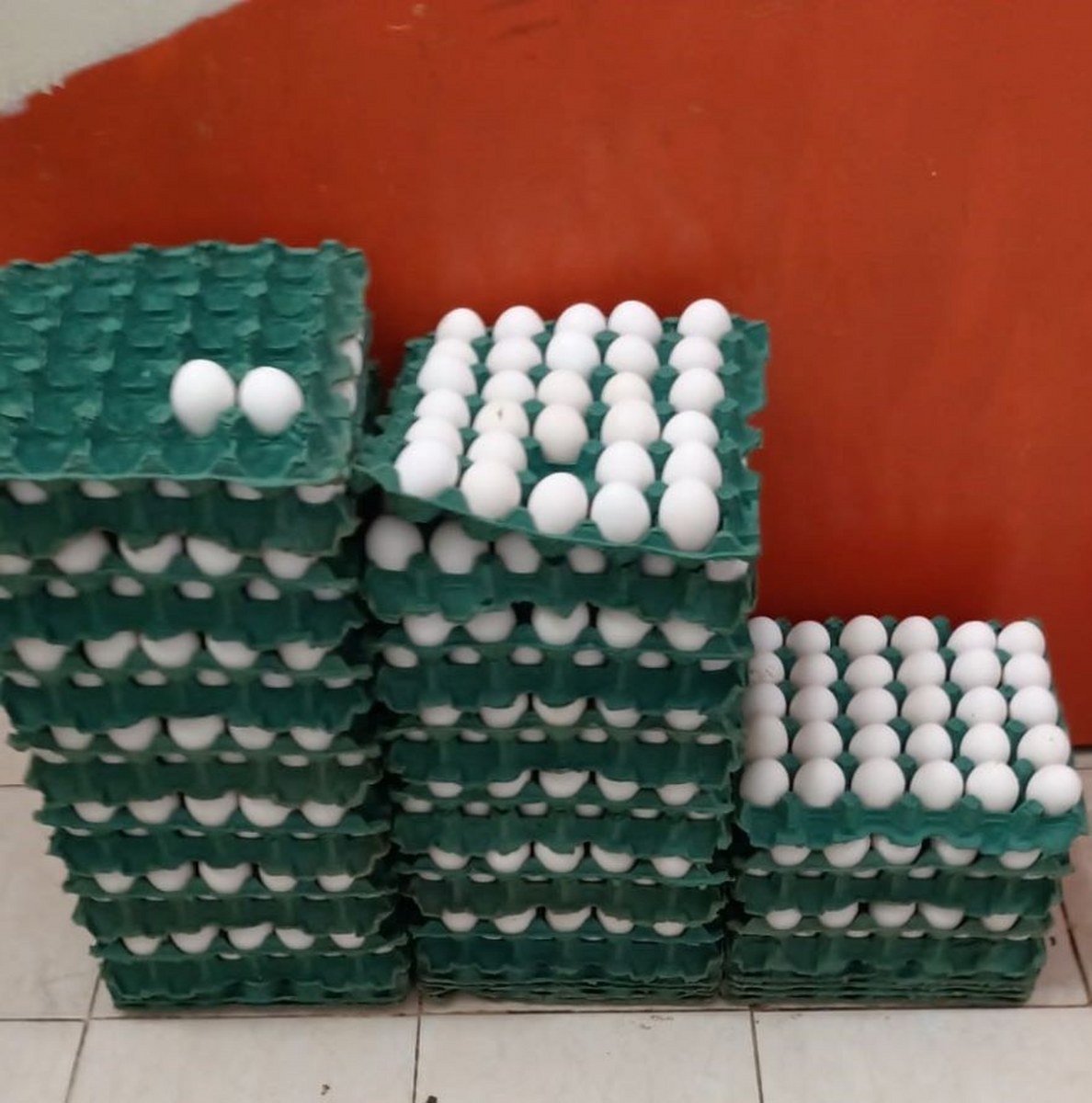El abastecimiento de huevo en Quintana Roo ha comenzado a normalizarse luego de la escasez por la gripe aviar