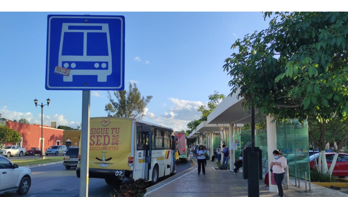 Carnaval de Campeche 2023: Camiones y taxis, sin cambios en horarios por coronaciones