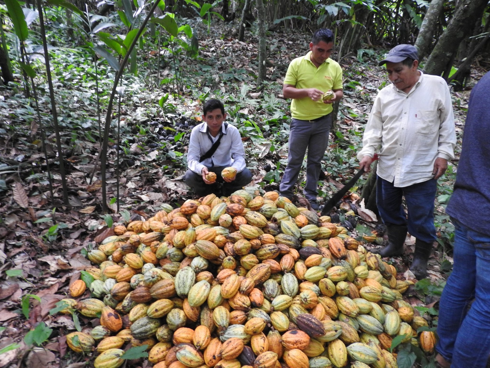 Chetumal será sede del Foro Internacional de Agroecosistemas Tropicales