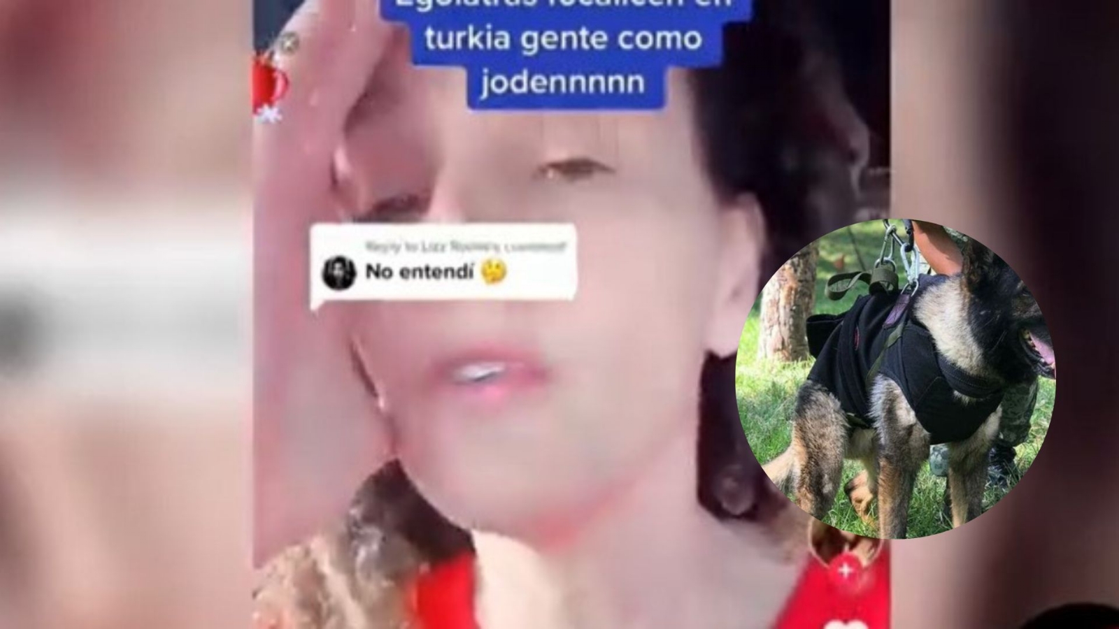 Tras la muerte de Proteo, mujer argentina explota contra México por llamar a los perros "héroes"
