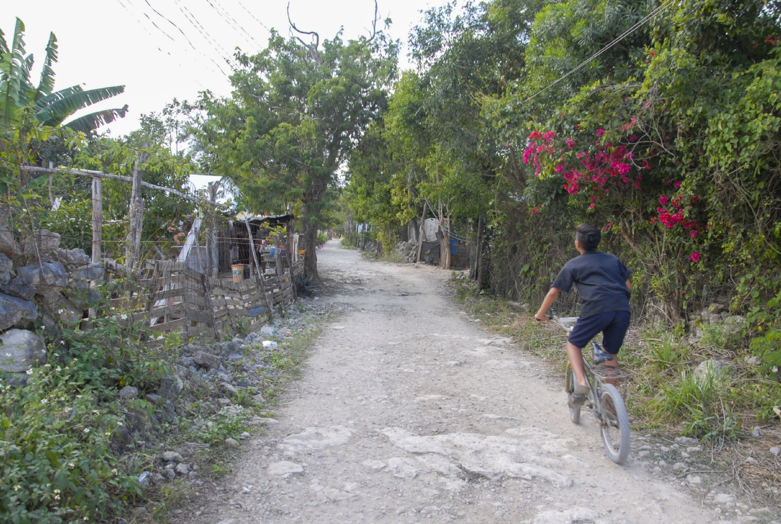 Por cada 100 personas en Quintana Roo 13 carecen de servicios básicos: Conapo