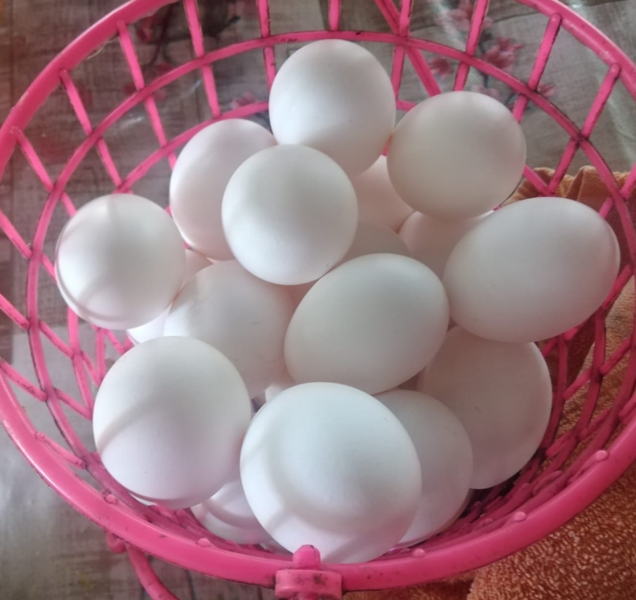 En Sabancuy, precio de la reja huevo alcanza hasta los 115 pesos