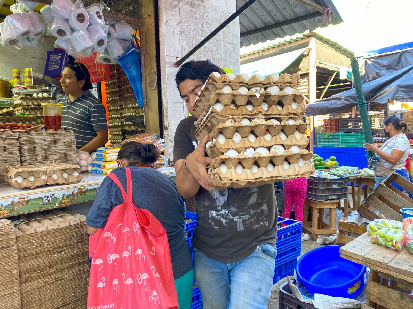 Avicultores de Yucatán prevén que el precio del huevo se estabilizará en abril