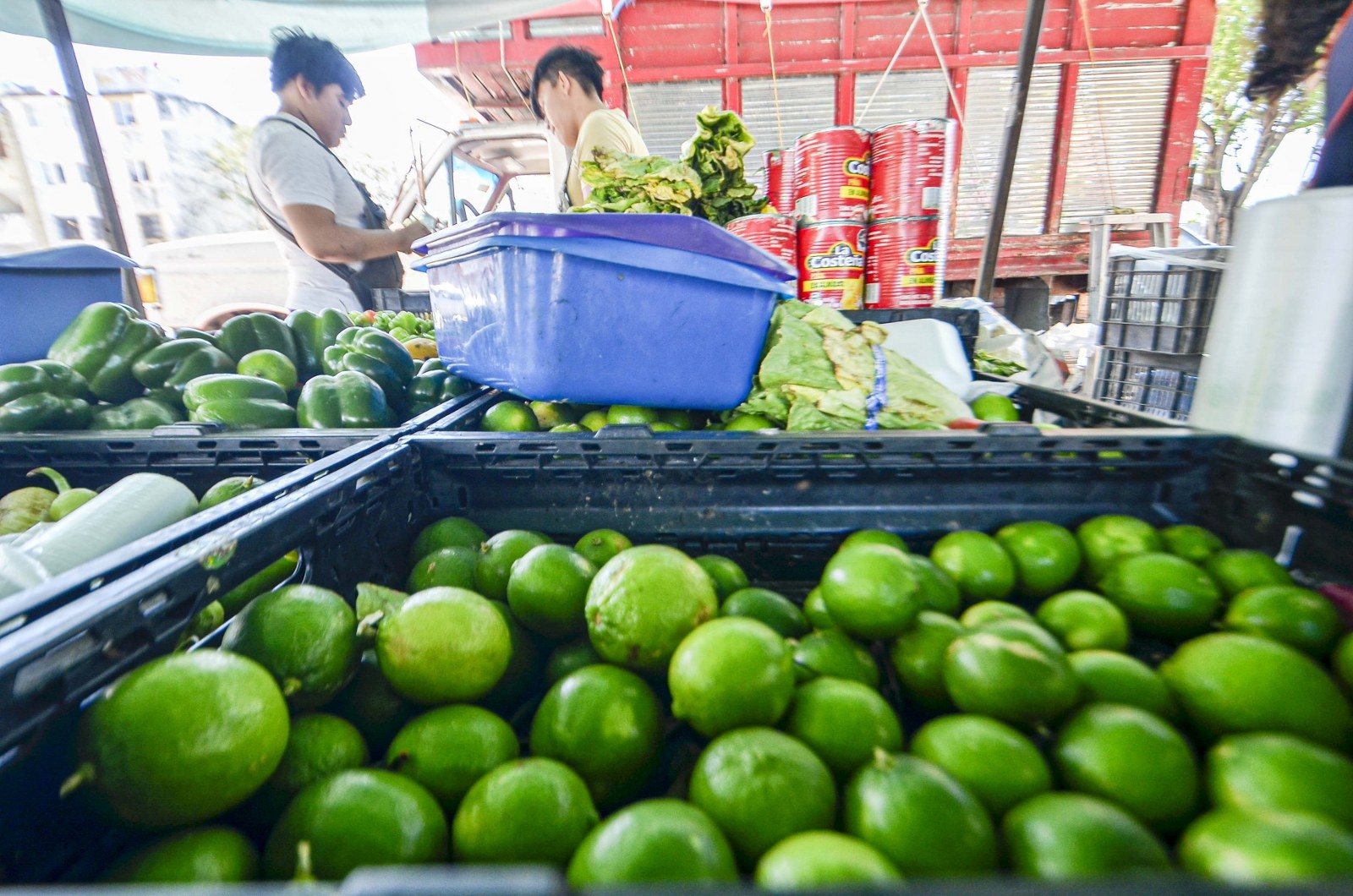 Aumenta el precio del kilo del limón en Cancún; alcanza los 60 pesos