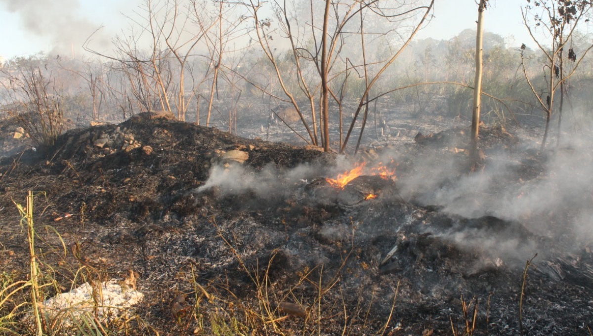 Inician brigadas contra incendios forestales en Campeche