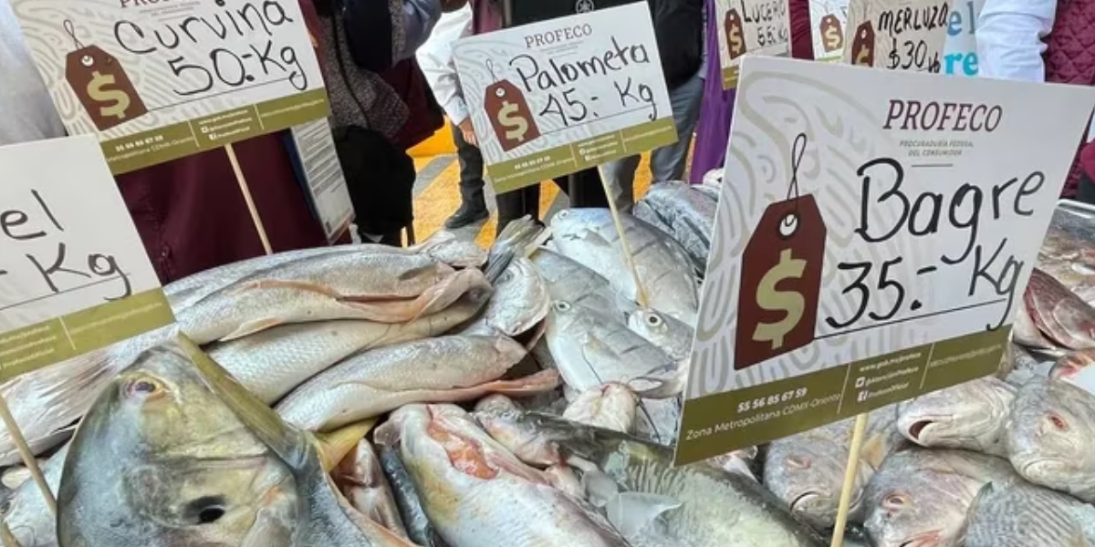 Profeco inicia operativo de Cuaresma en CDMX; pescados económicos hasta en 30 pesos el kilo