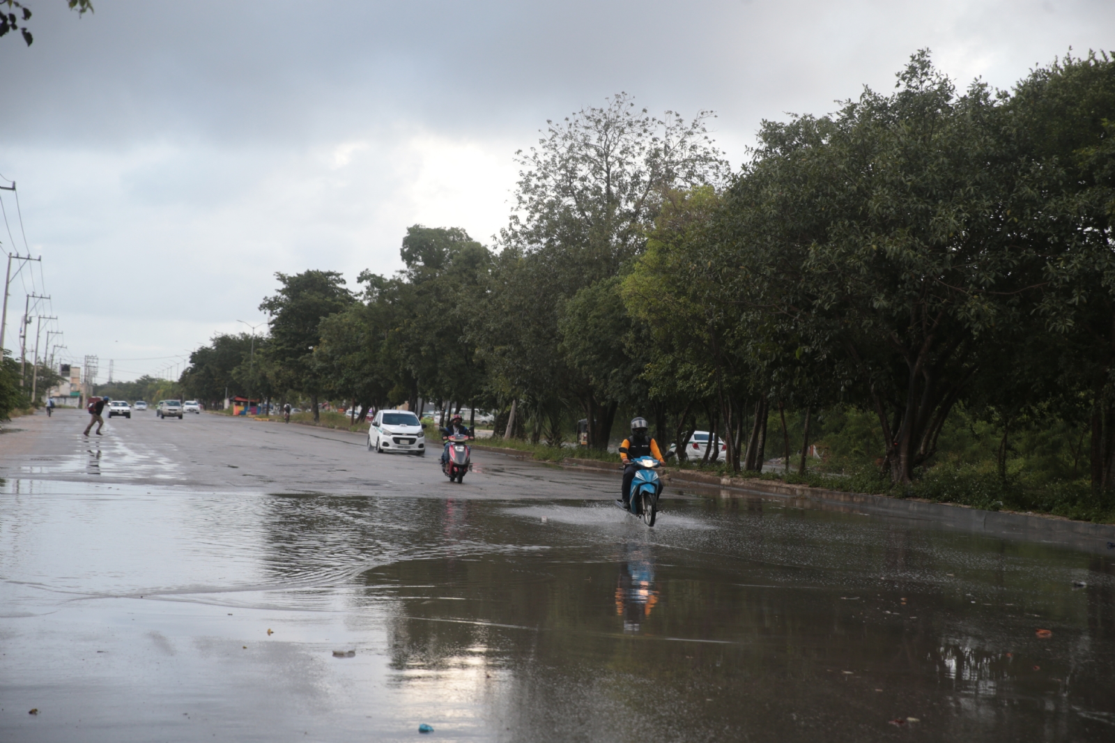 Clima 25 de febrero: Se prevén lluvias aisladas con rachas fuertes de viento en Quintana Roo