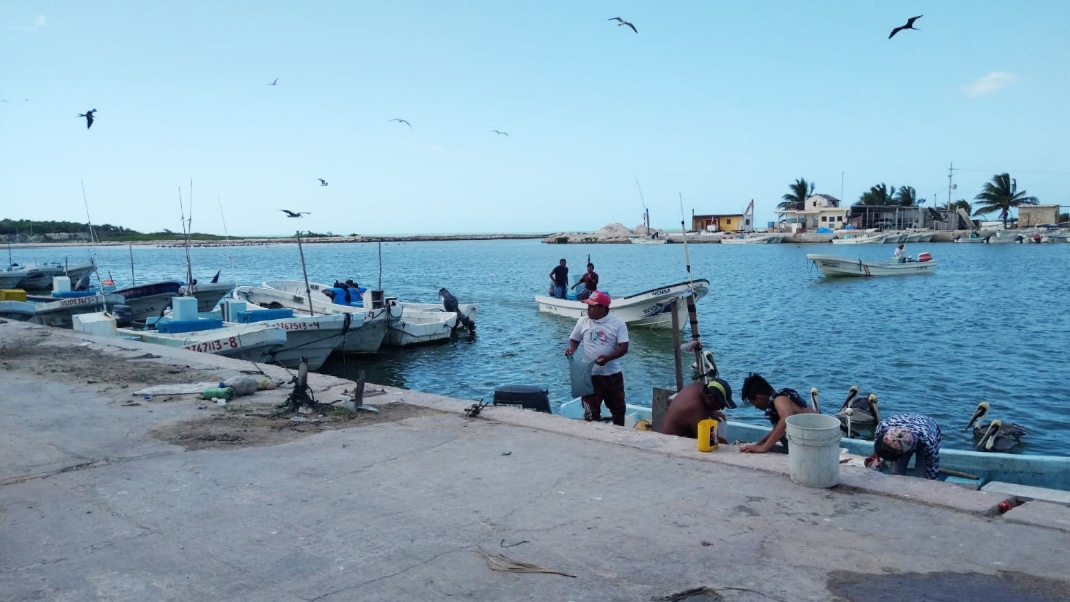 Pesca furtiva en Yucatán amenaza a las especies marinas; podrían quedarse sólo en fotos