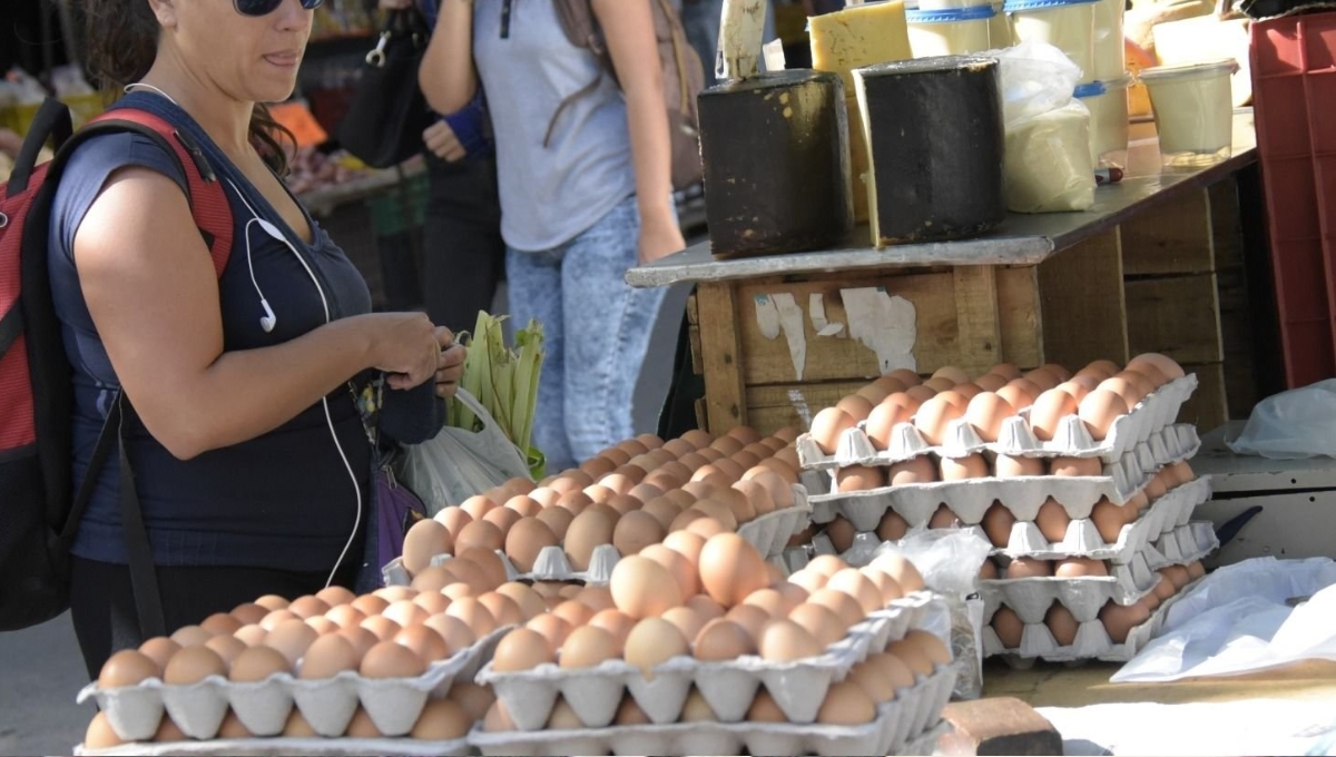 En las tiendas el huevo se vende en 97 pesos