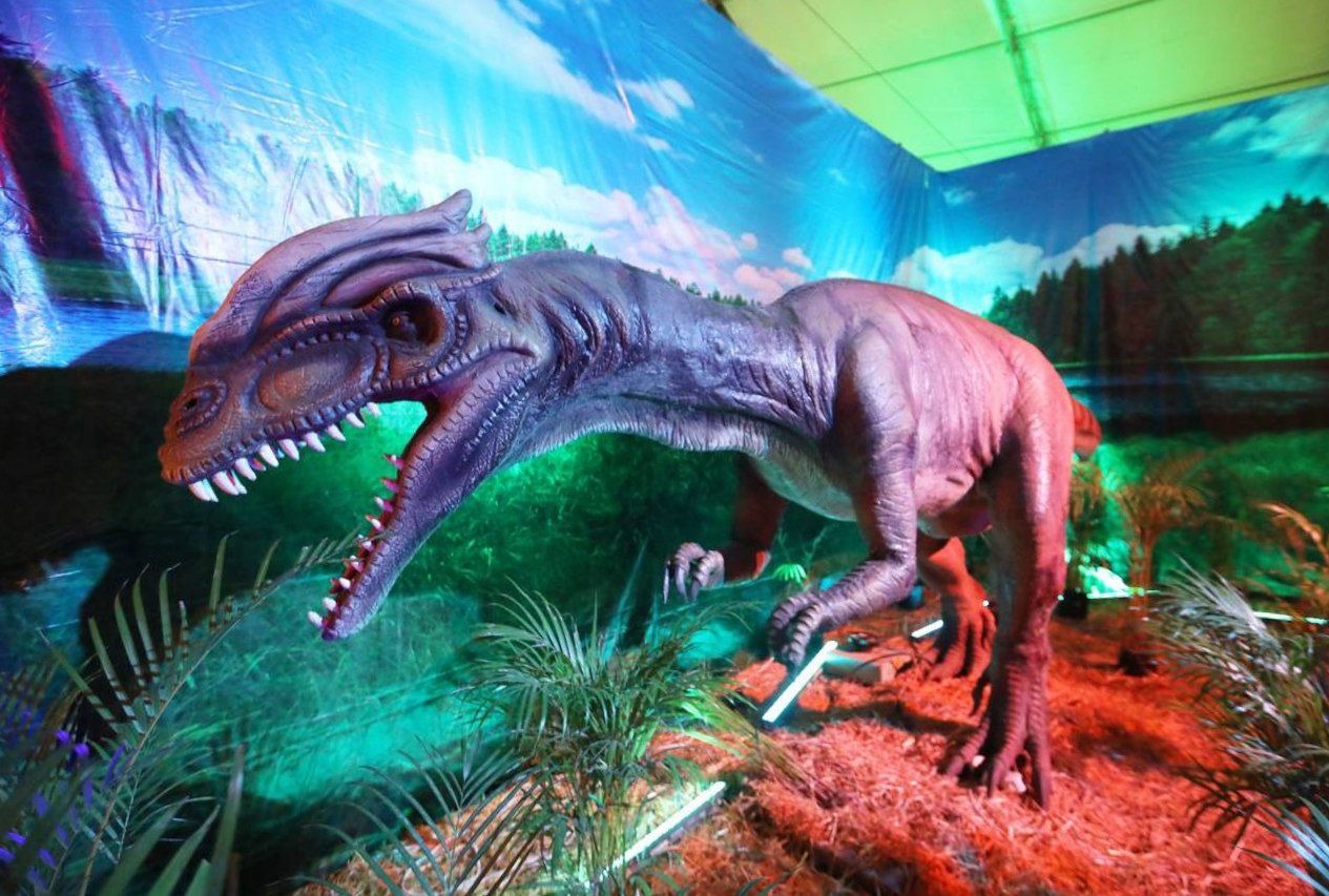 Expo Dinosaurios en Mérida: ¿Cuándo y dónde será?