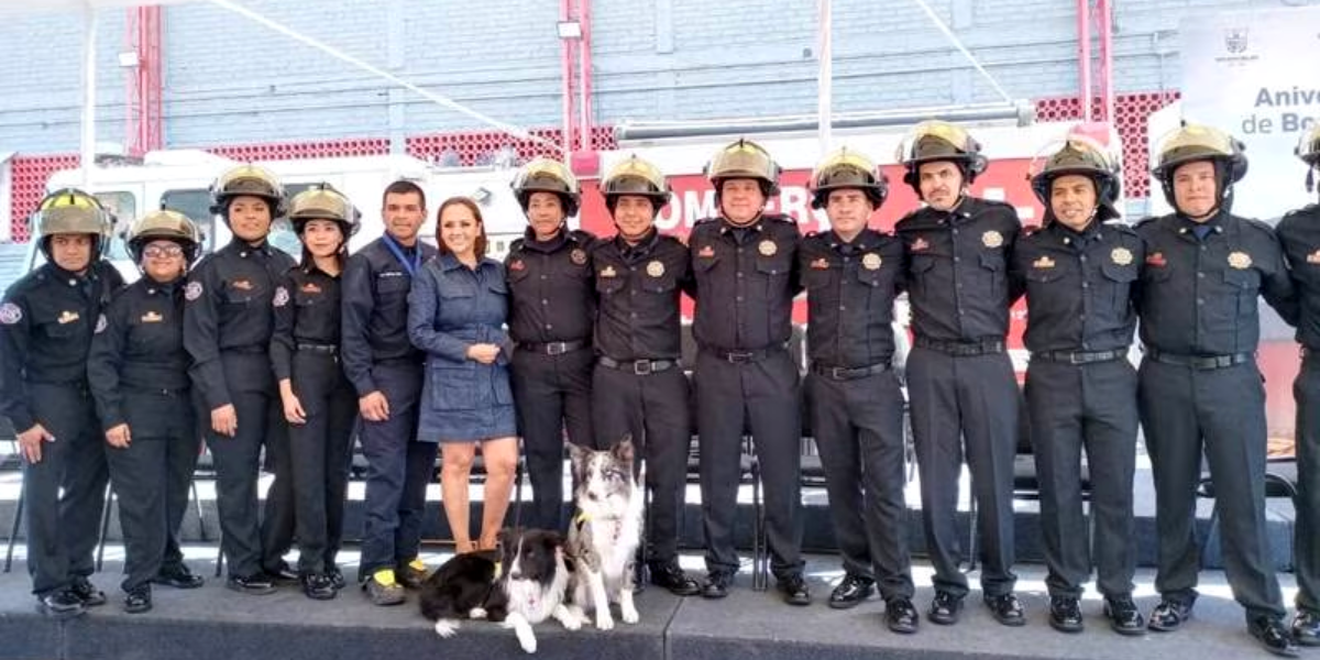 Orly y Balam, perritos rescatistas que viajaron a Turquía, vuelven a Querétaro