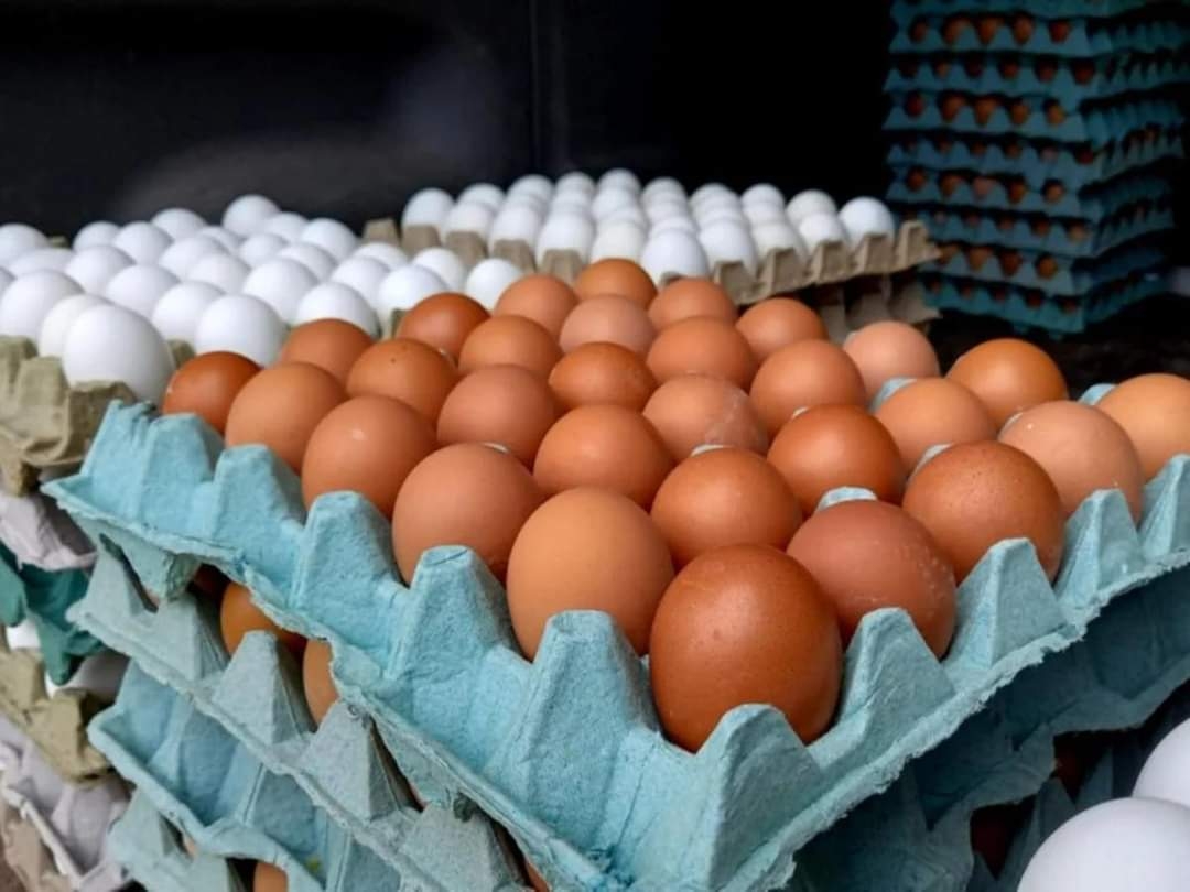 Huevo, un 'lujo' para los habitantes de Candelaria; se vende hasta en 48 pesos el kilo