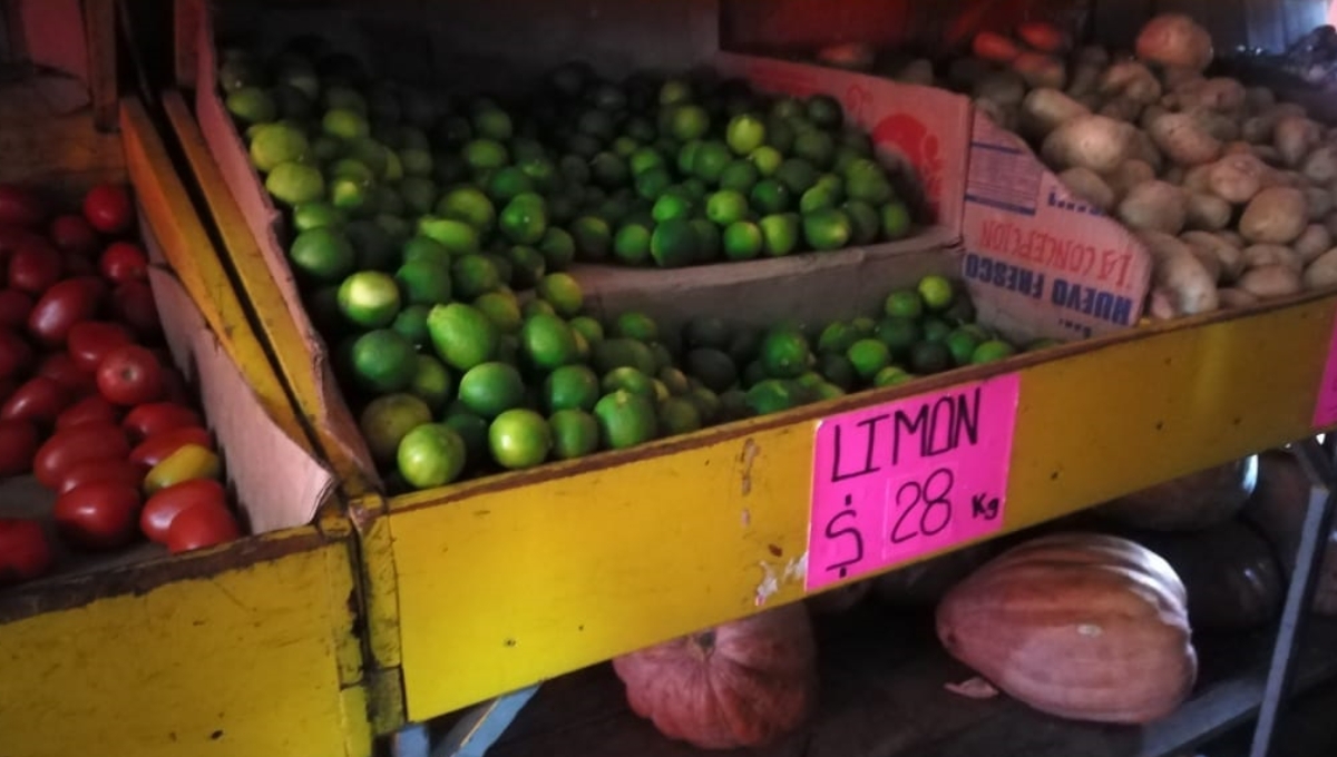 Escasea 'oro verde' en Campeche: El limón hasta en 28 pesos el kilo