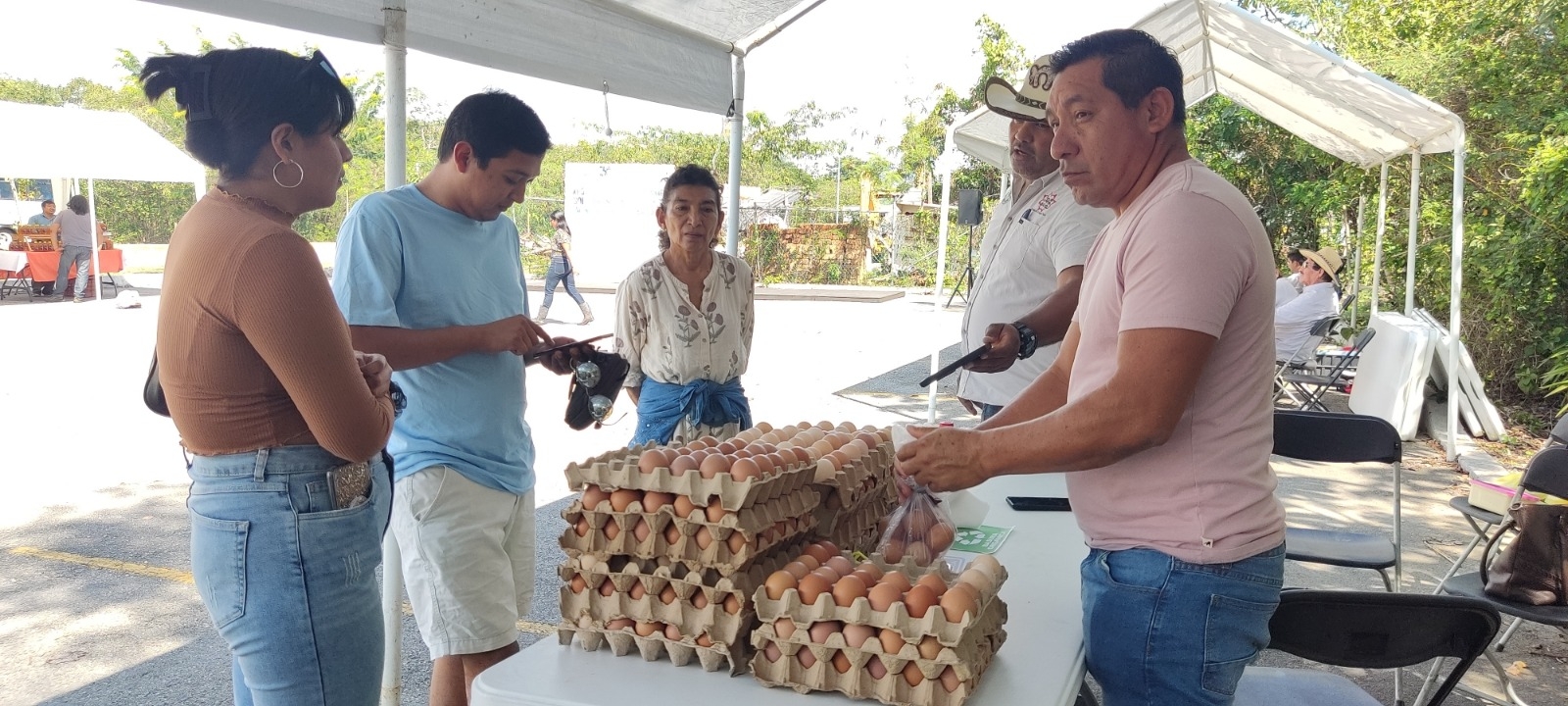 Gripe aviar causa aumento en el precio del huevo en Playa del Carmen