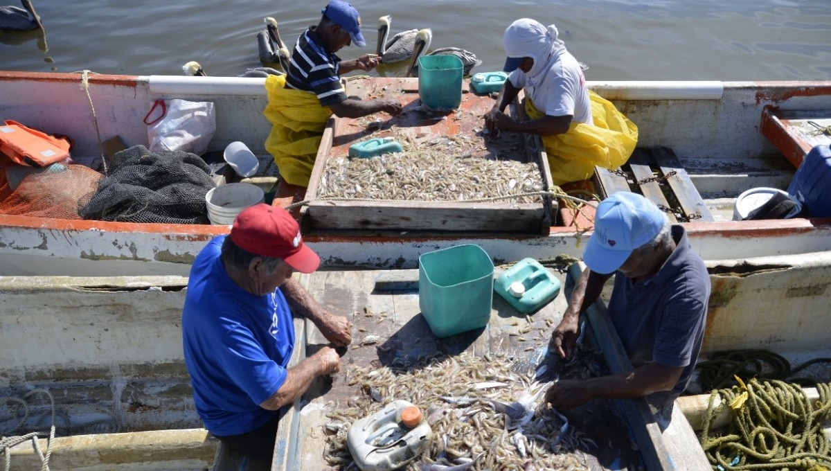 Pescadores de Ciudad del Carmen exigen resultados de la FGE ante robos en altamar