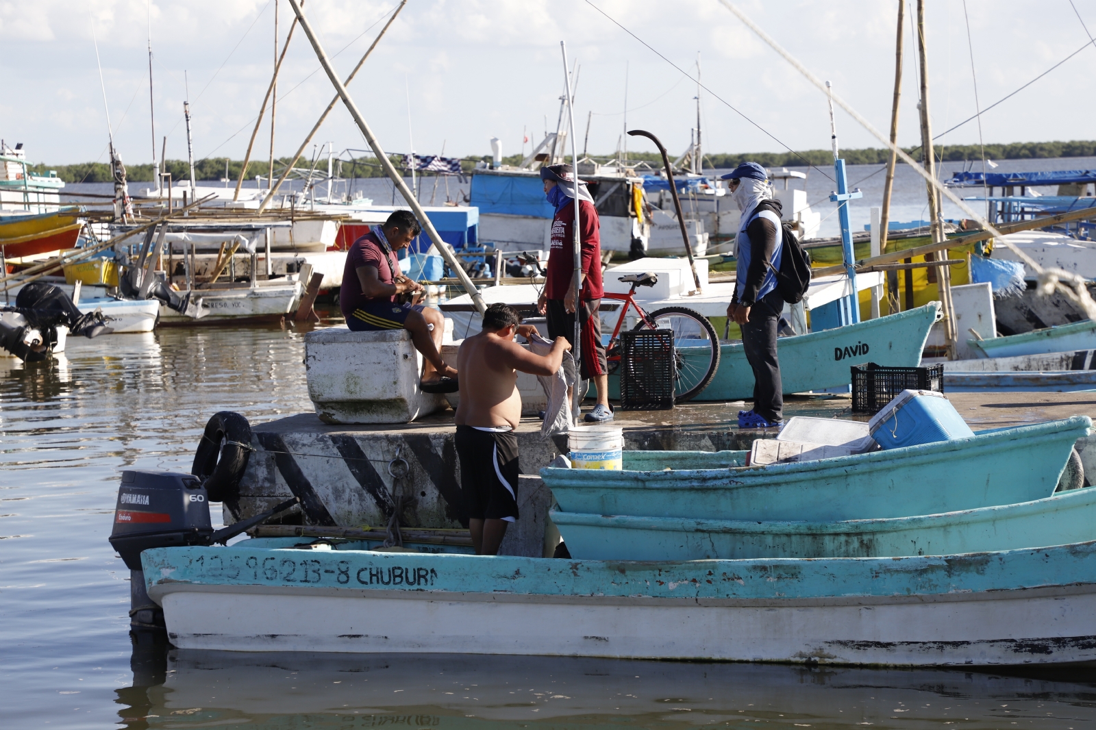 En Yucatán, las langostas salvan la economía de los pescadores