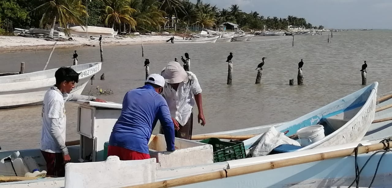 Piratas modernos roban tres motores a pescadores en Calkiní, Campeche
