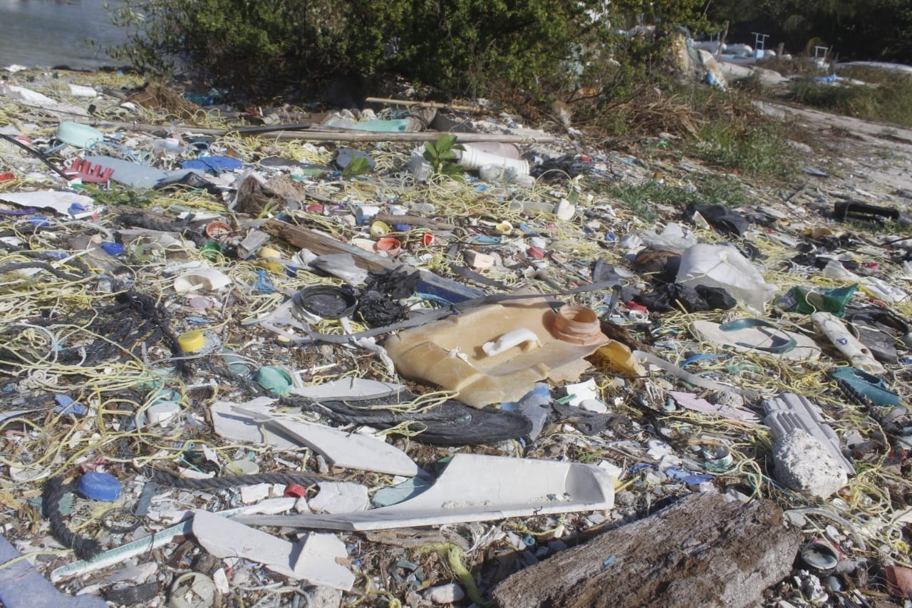 El Cuyo, Yucatán, de paraíso a basurero al aire libre: Biólogo
